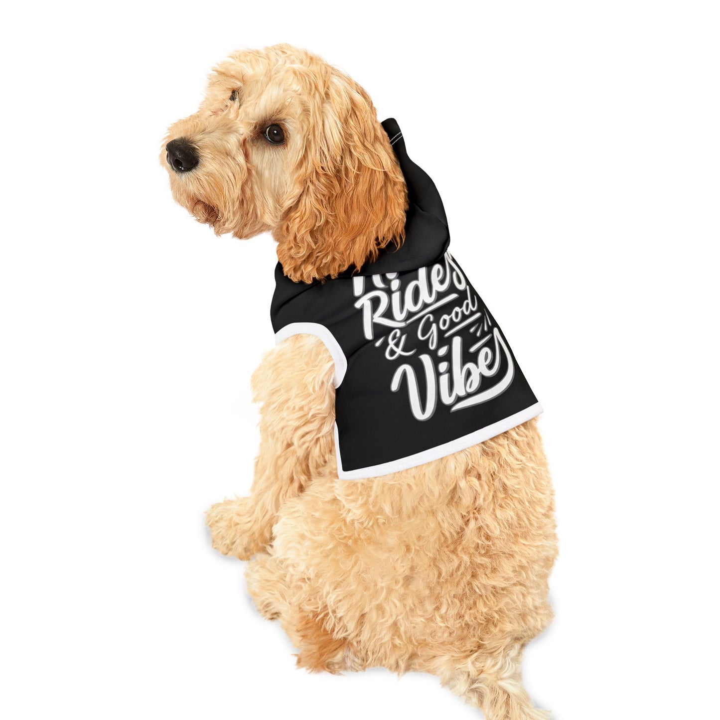 Station Nation Pet Hoodie