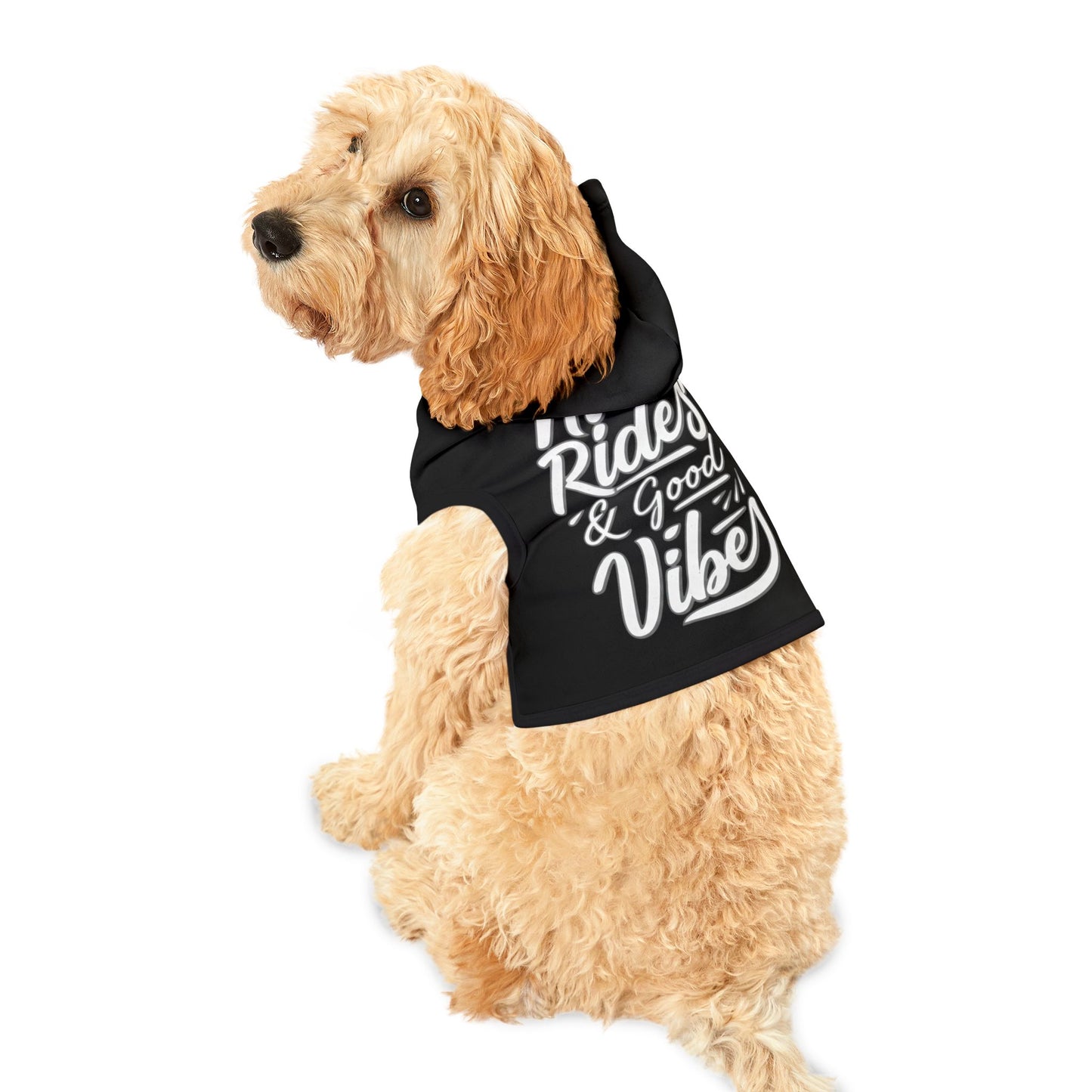 Station Nation Pet Hoodie