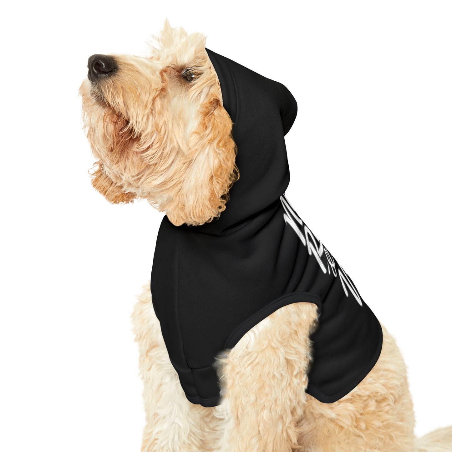 Station Nation Pet Hoodie