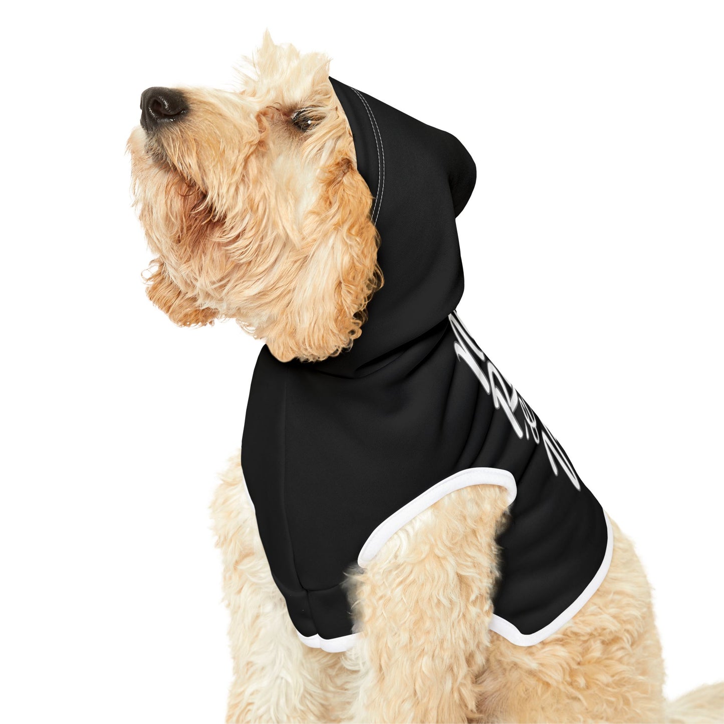 Station Nation Pet Hoodie