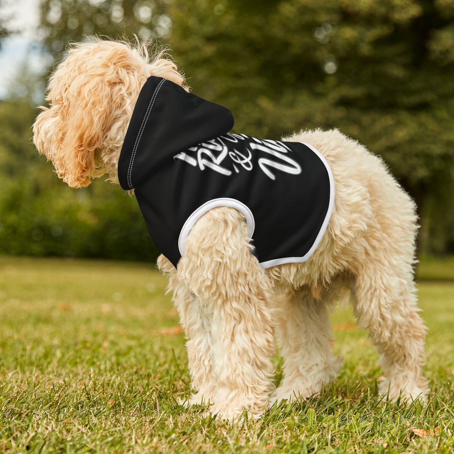 Station Nation Pet Hoodie