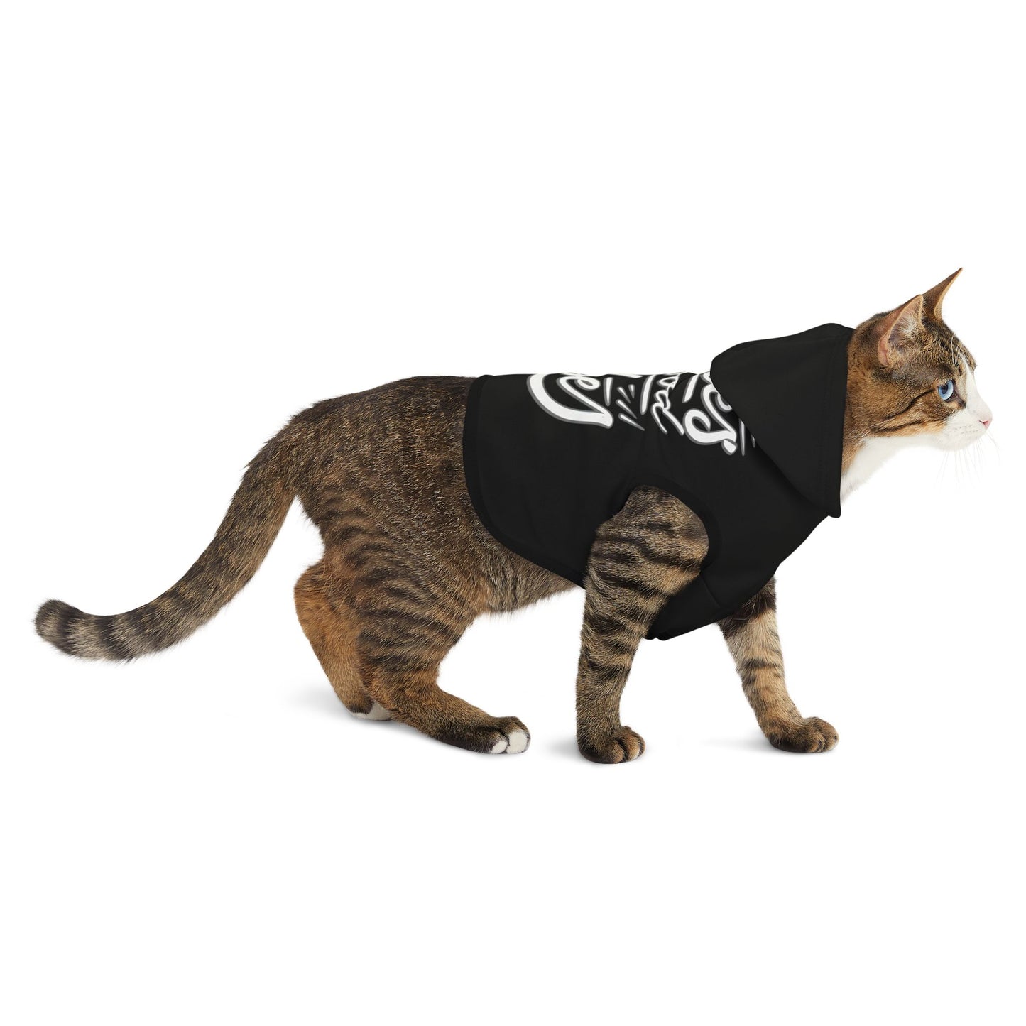 Station Nation Pet Hoodie