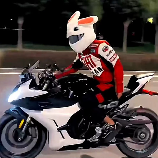 Motorcycle Full Face Helmet Cover